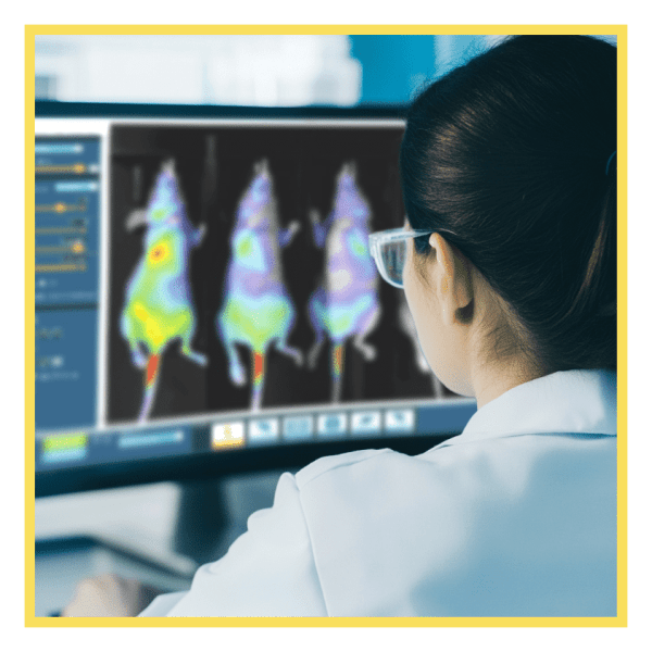 Frequently Asked Questions - Spectral Instruments Imaging